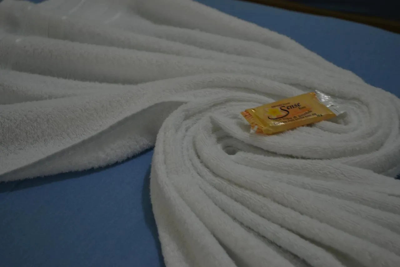 Hotel Vitoria San Paolo 2*,  Brasile